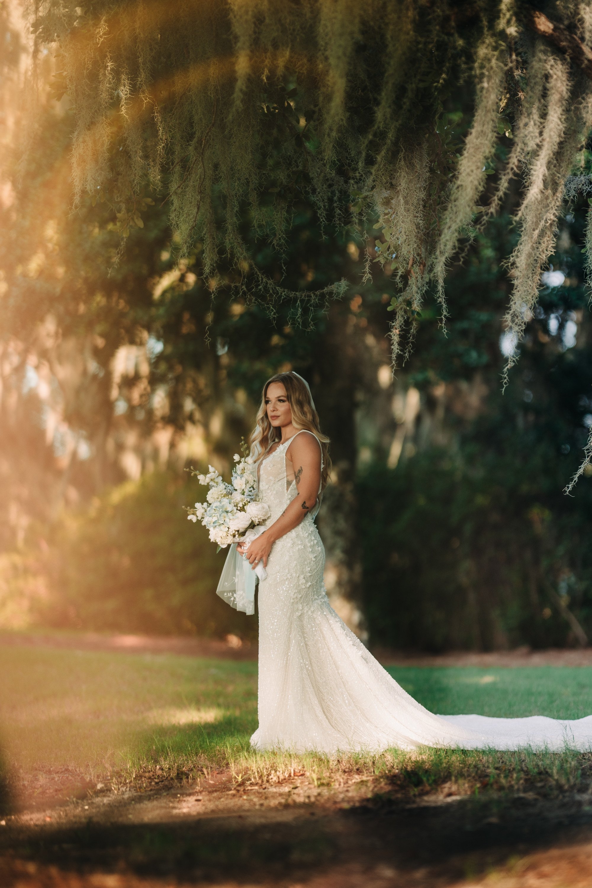 carousel-hero-element image-1